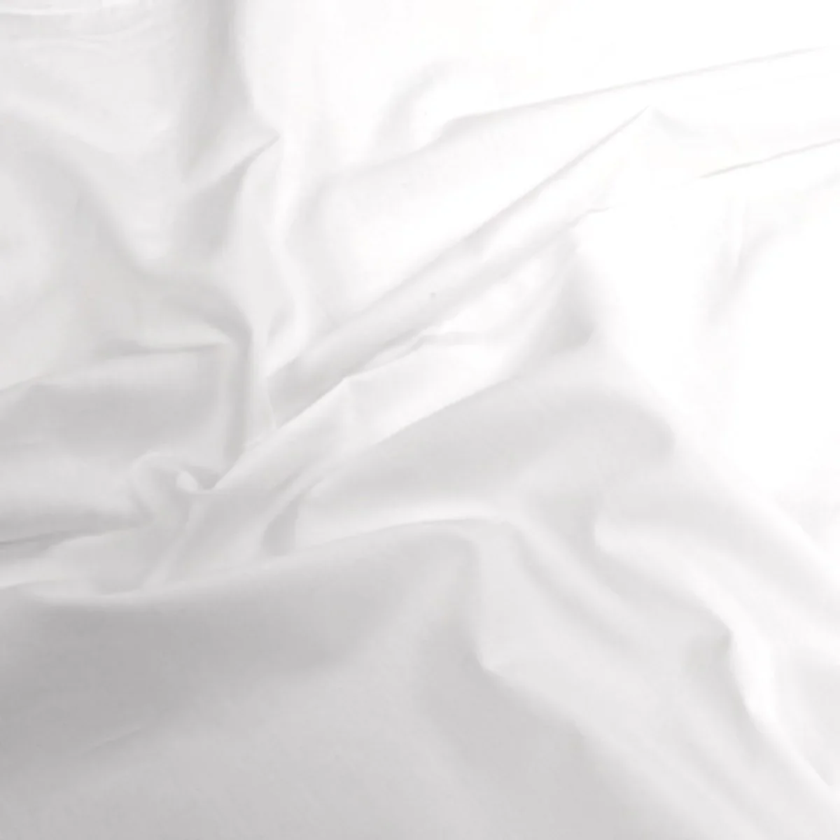 500TC Sateen Cotton Set With Navy Blue Border - RELEASE 1 - Image 2