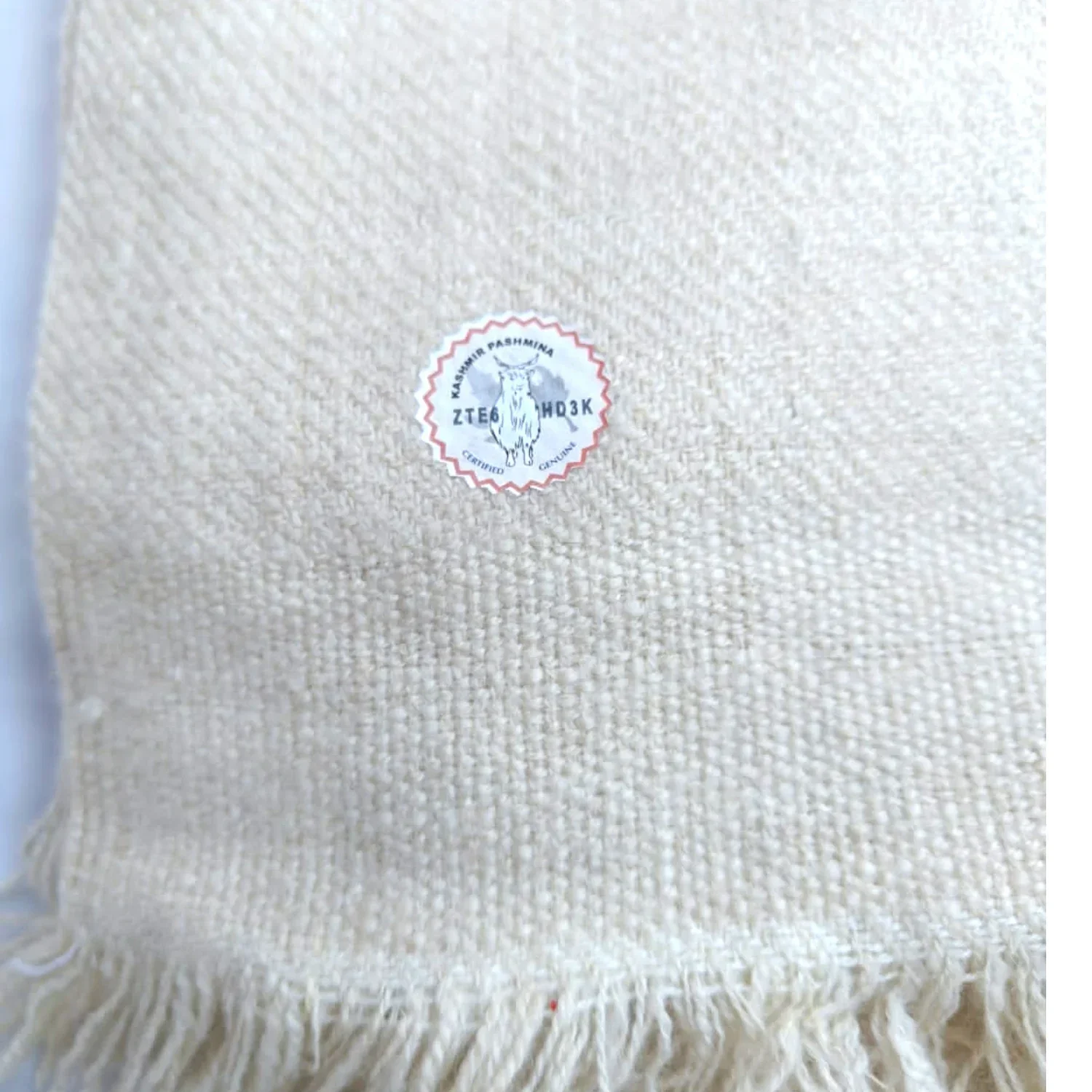 EDIT Ø1C  - PURE PASHMINA CLASSIC THROW SERIES - Image 4